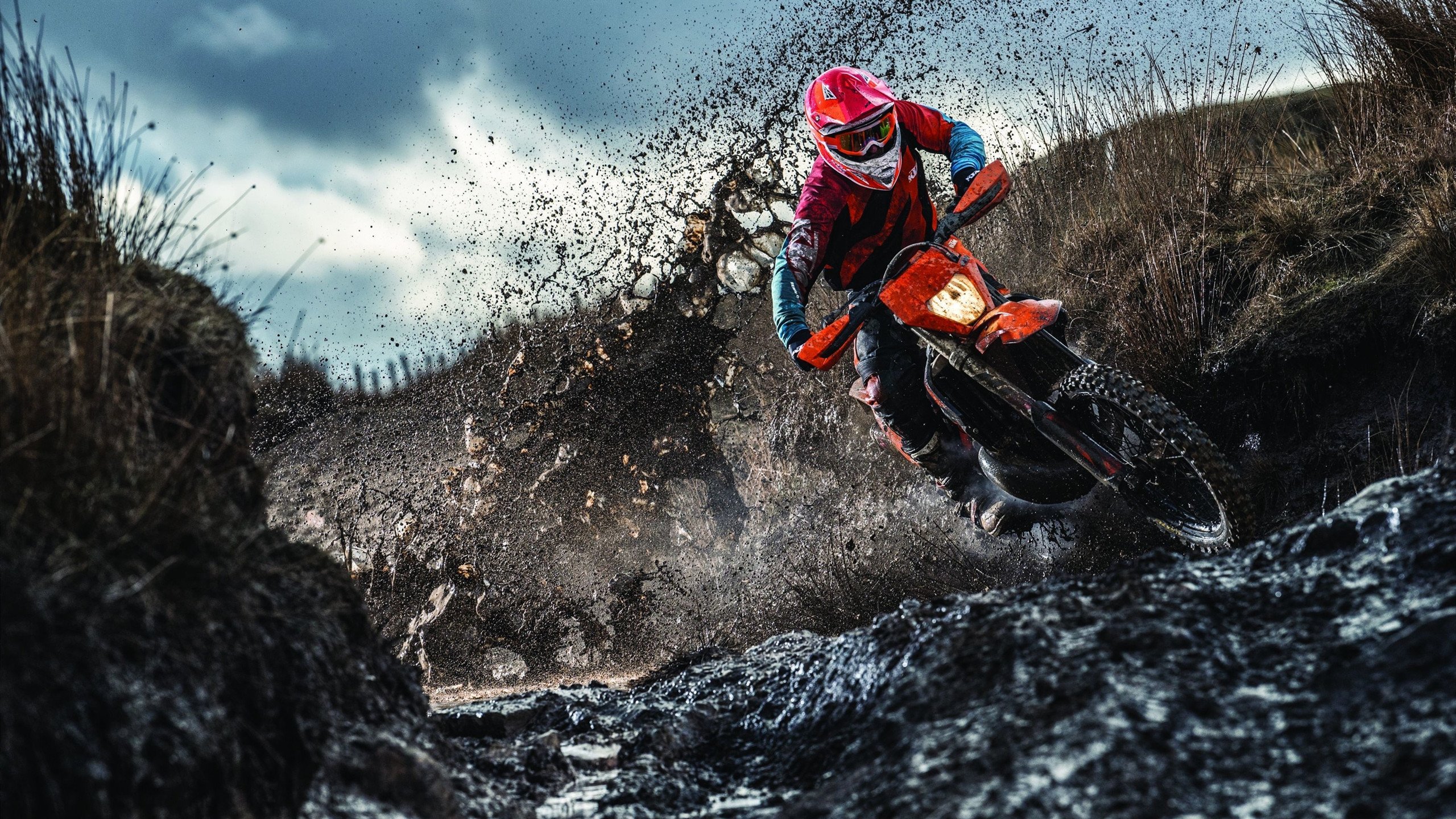 【虚拟裁判试点】技术革命能否彻底改变裁判判决?